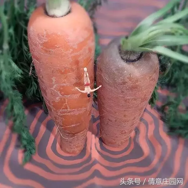 我見過最天馬行空的創意,不敵他拍下的雞毛蒜皮!