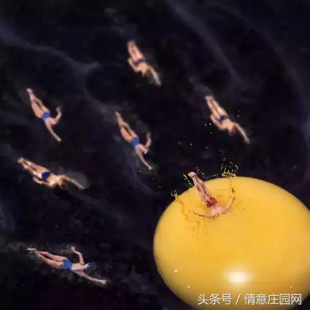 我見過最天馬行空的創意,不敵他拍下的雞毛蒜皮!
