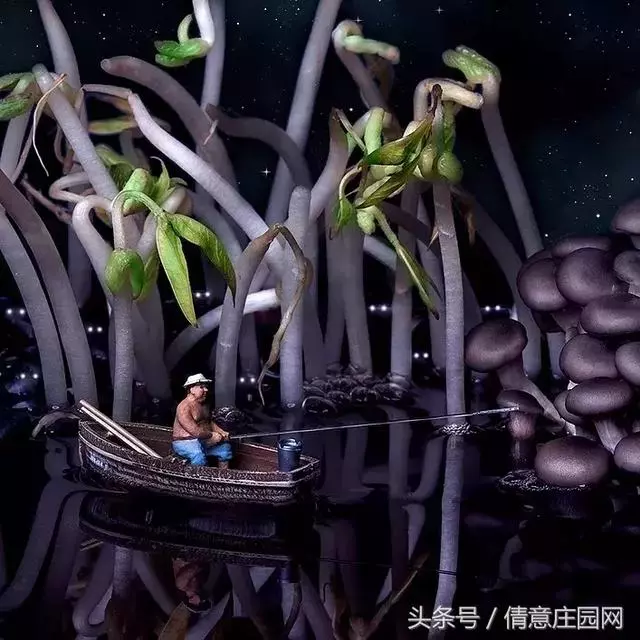 我見過最天馬行空的創意,不敵他拍下的雞毛蒜皮!