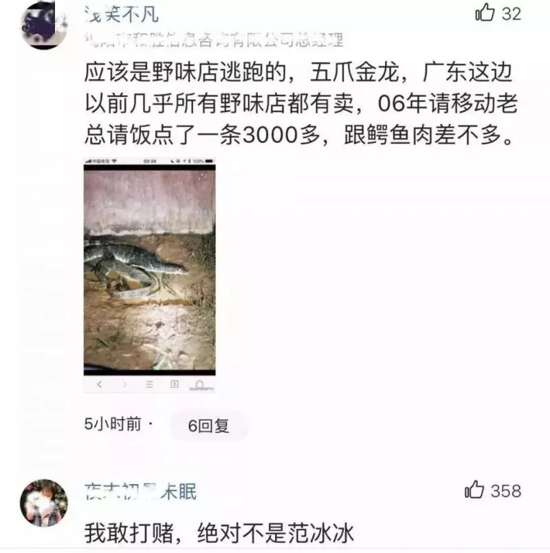 大魚還是大蛇?廣州河道現未知生物,水底爬出,鑽進岸邊洞穴