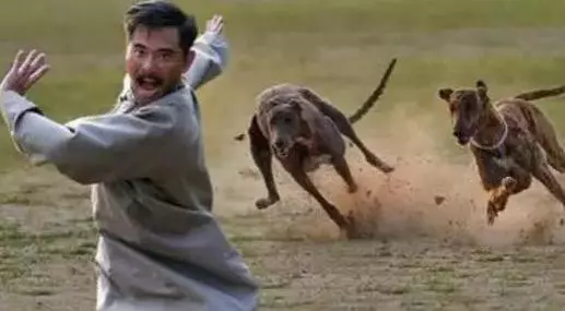 養狗的最討厭以下十種人,看看是否你也在其中