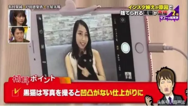 收容所70%黑貓沒人要,原來殘酷真相是:它們被嫌拍起來不可愛