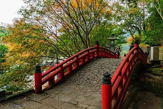 不用出國也能賞紅葉!台灣賞楓 5 大熱點推薦、楓紅預測報你知