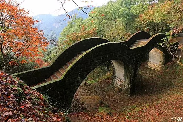 不用出國也能賞紅葉!台灣賞楓 5 大熱點推薦、楓紅預測報你知