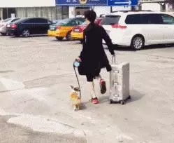 跟空姐合影才是檢驗明星顏值的標準,蔣欣瘦三圈,劉濤輸得很慘!