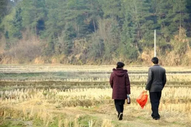 婆婆總說2000生活費不夠用,我悄悄回家一趟,從此決定分文不給