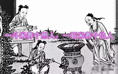 「一碗米養個恩人,一斗米養個仇人」一句話點醒多少夢中人!