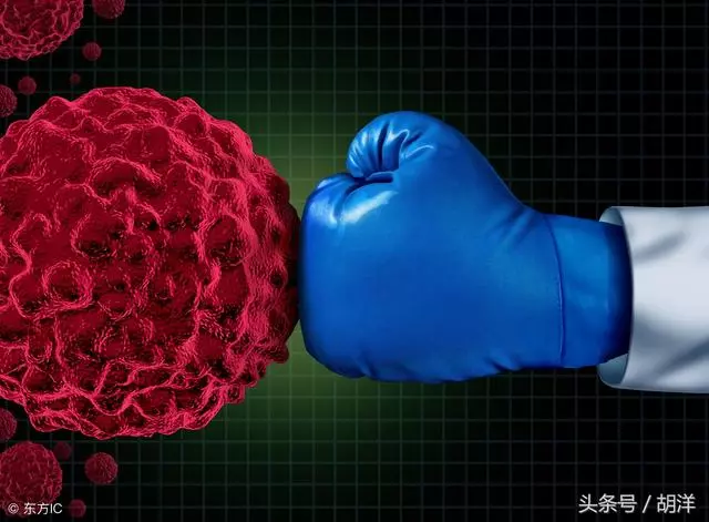 海參真的是「癌症殺手」嗎,有人吃海參把癌症治好了是真的嗎?