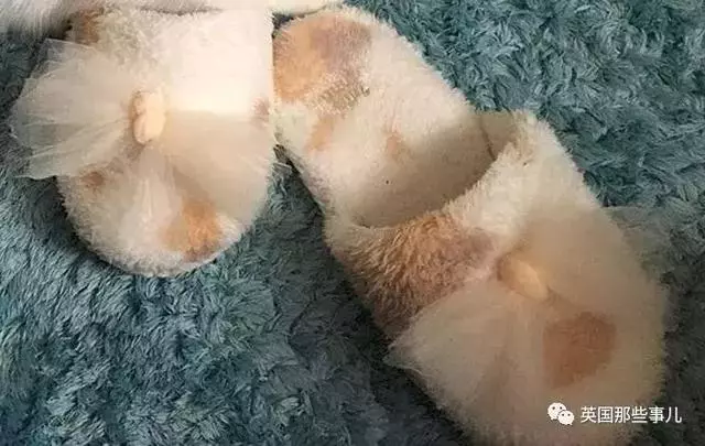 身為貓奴,不怕髒不怕苦,就怕主子學會了隱身術!