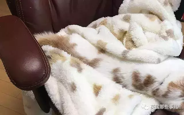 身為貓奴,不怕髒不怕苦,就怕主子學會了隱身術!