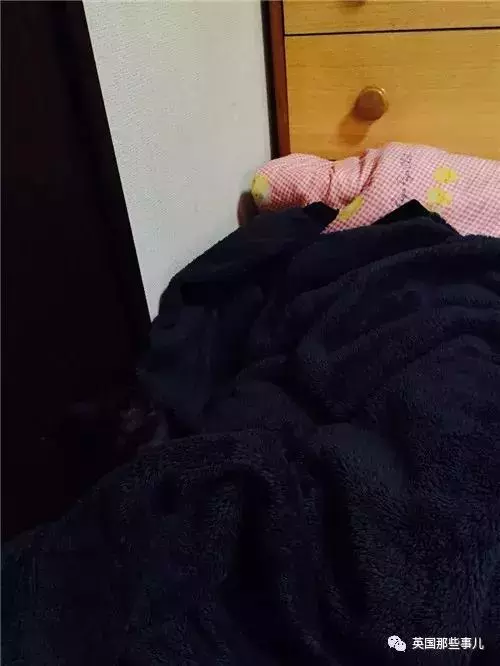 身為貓奴,不怕髒不怕苦,就怕主子學會了隱身術!