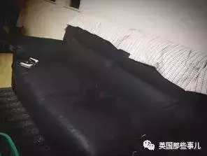 身為貓奴,不怕髒不怕苦,就怕主子學會了隱身術!