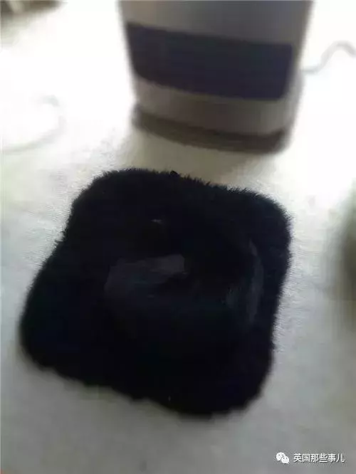 身為貓奴,不怕髒不怕苦,就怕主子學會了隱身術!