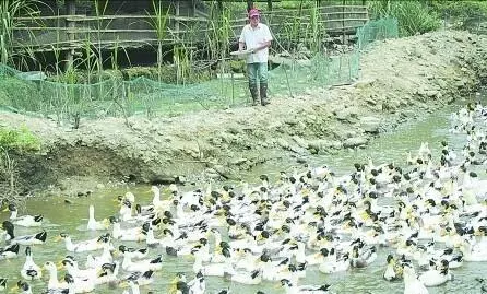 單身漢收留門前流浪的痴傻老人,一個月後老人讓他娶了個美麗嬌妻