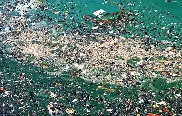 香蕉剝皮再包裝賣?!大自然正在懲罰我們這種不經意的懶惰……