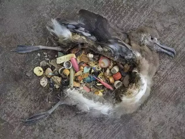 香蕉剝皮再包裝賣?!大自然正在懲罰我們這種不經意的懶惰……