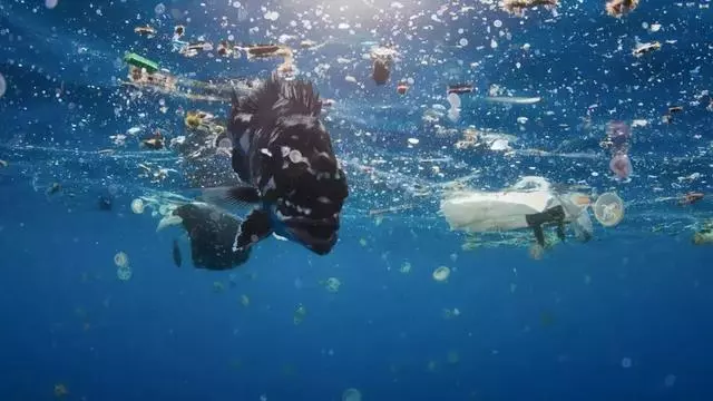 香蕉剝皮再包裝賣?!大自然正在懲罰我們這種不經意的懶惰……