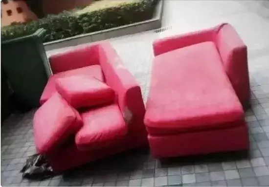 她30歲「不工作、沒男友」靠垃圾改造36坪老舊房 隱居山林「活成仙女模樣」成果美得不像話