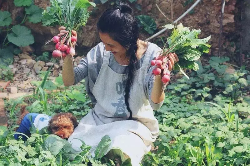 她30歲「不工作、沒男友」靠垃圾改造36坪老舊房 隱居山林「活成仙女模樣」成果美得不像話
