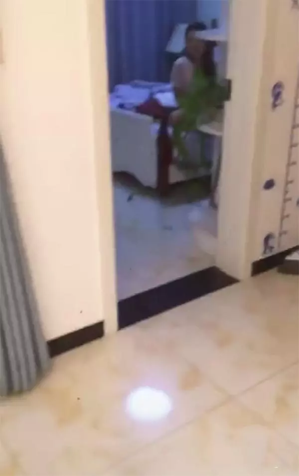 寶媽吐槽帶孩子辛苦,遭老公嘲諷,寶媽的報復讓網友們大呼:解氣