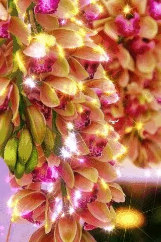 老祖宗的大智慧:做人不要太善良,做事不要太老實!句句在理