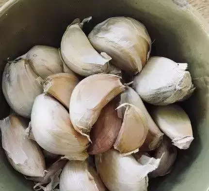 血液健康人長壽!6種「換血食物」健康安全,每天食用使血液年輕