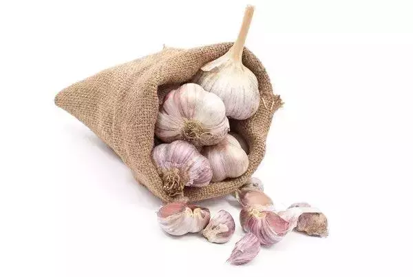 廚房中最不起眼的它,健脾胃通氣血,生吃效果最好