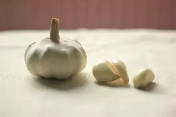 廚房中最不起眼的它,健脾胃通氣血,生吃效果最好