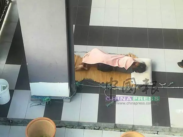 被罰與狗同睡女傭今午疑細菌感染斃命