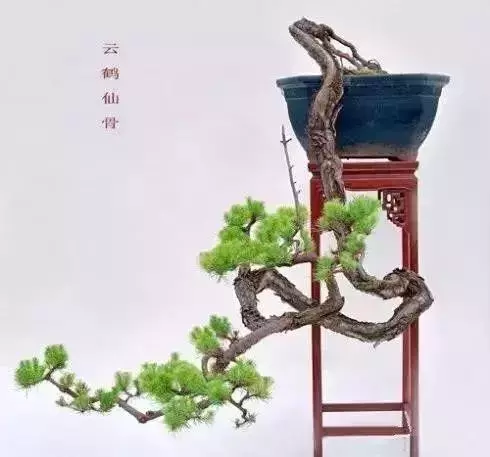 什麼叫做人?(精闢)