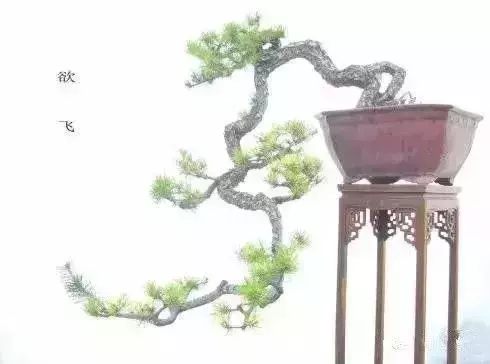 什麼叫做人?(精闢)
