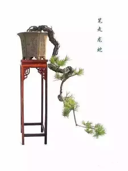 什麼叫做人?(精闢)