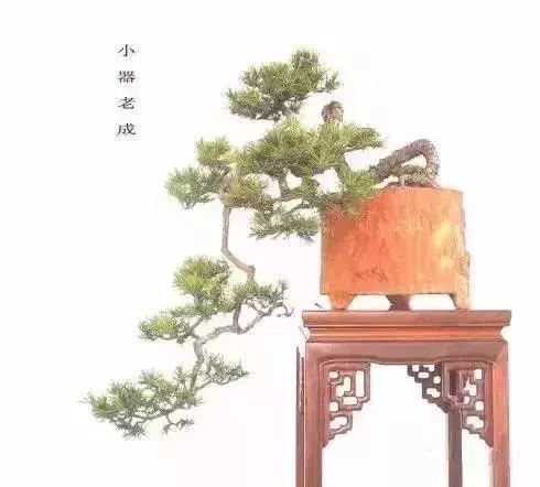 什麼叫做人?(精闢)