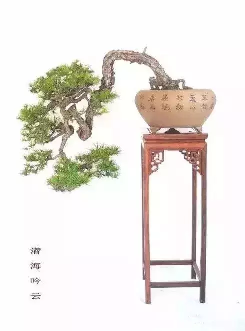 什麼叫做人?(精闢)