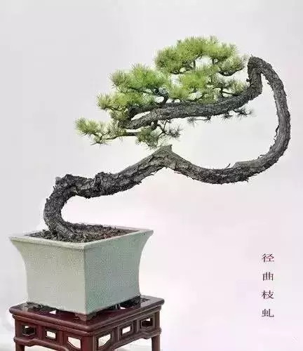 什麼叫做人?(精闢)