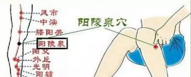 世界更年期關懷日,男人也有更年期,這三個穴位養生養陽幫助你