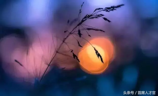 人有萬算,天只一算!非常精闢,值得一看