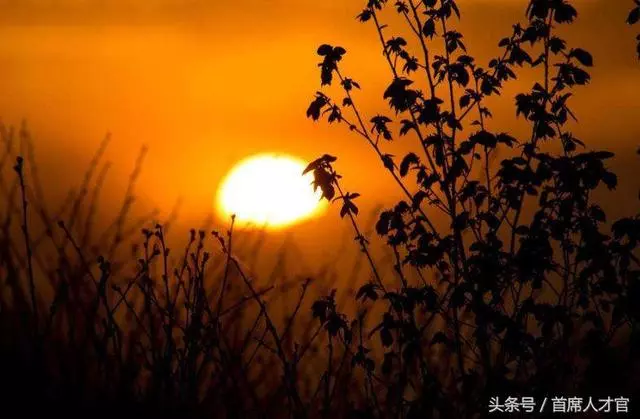 人有萬算,天只一算!非常精闢,值得一看