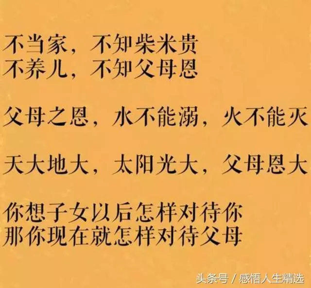 生前不孝,死後亂叫!活著不讓爹娘吃,離世何必去祭墳
