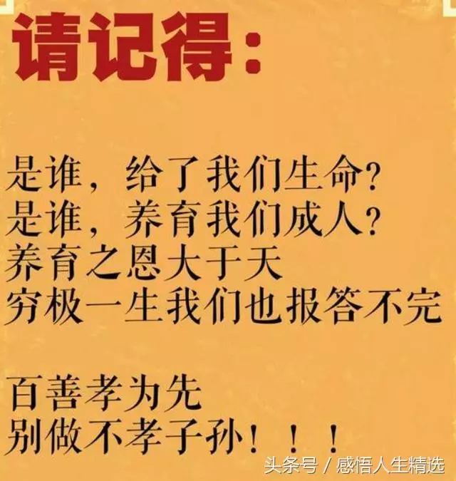 生前不孝,死後亂叫!活著不讓爹娘吃,離世何必去祭墳