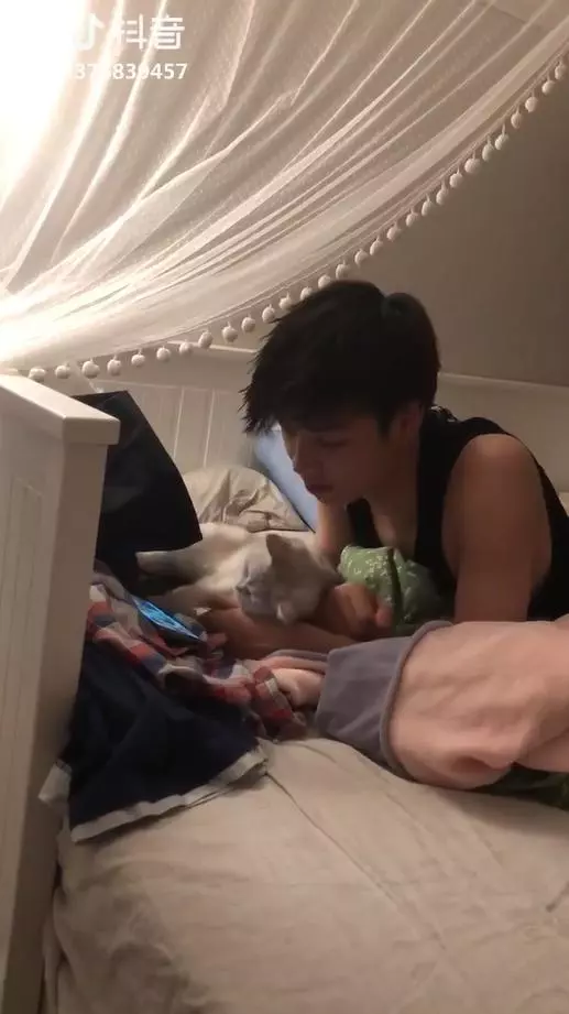 別看手機啦~貓貓窩手手強力撒嬌 男友「低頭溫柔親吻」女友淚:對我都沒這麼好QQ