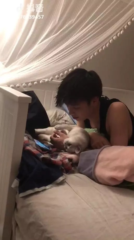 別看手機啦~貓貓窩手手強力撒嬌 男友「低頭溫柔親吻」女友淚:對我都沒這麼好QQ