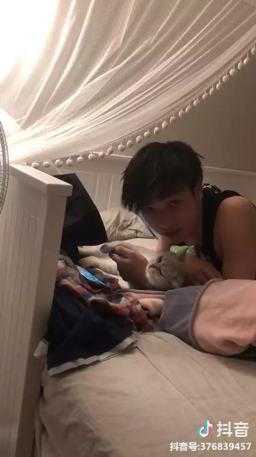 別看手機啦~貓貓窩手手強力撒嬌 男友「低頭溫柔親吻」女友淚:對我都沒這麼好QQ