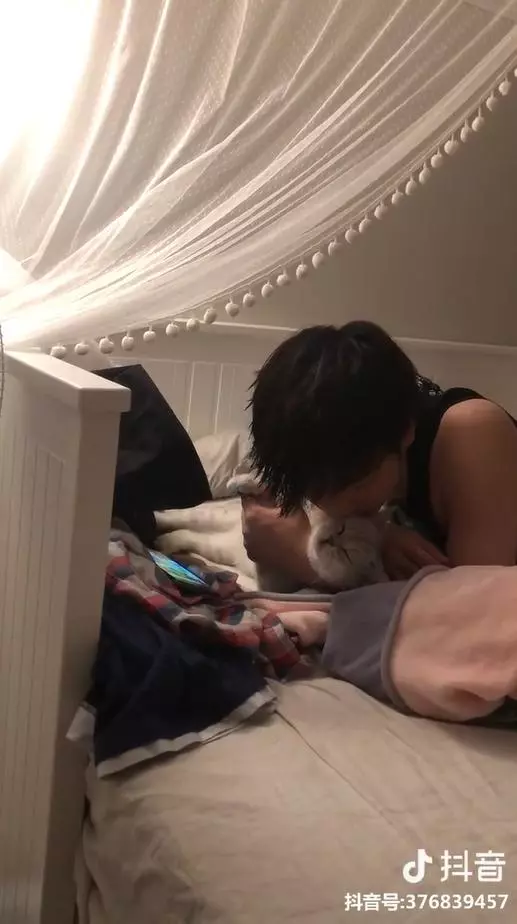 別看手機啦~貓貓窩手手強力撒嬌 男友「低頭溫柔親吻」女友淚:對我都沒這麼好QQ