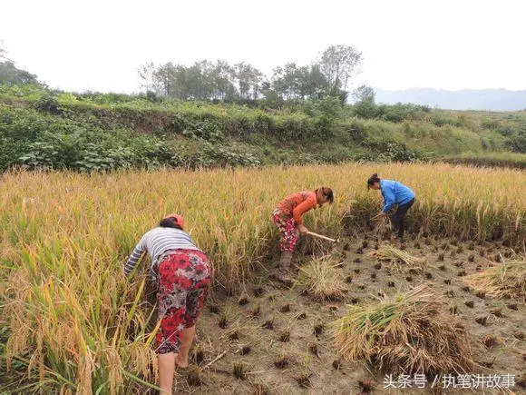 父親去世後女孩被繼母趕走,流浪路邊救一痴傻老人,從此禍去福來