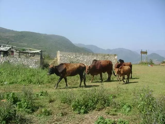 離婚一年後在街上碰見前夫帶著兒子,兒子抱住我喊了一聲媽媽,我大哭!