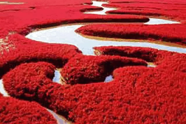這些老外眼中的美景,你去過幾個?中國美景選出了35大美景!