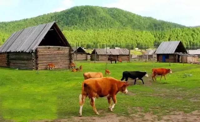 這些老外眼中的美景,你去過幾個?中國美景選出了35大美景!