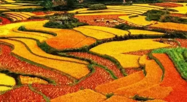 這些老外眼中的美景,你去過幾個?中國美景選出了35大美景!