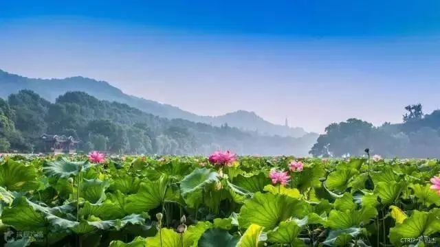 這些老外眼中的美景,你去過幾個?中國美景選出了35大美景!